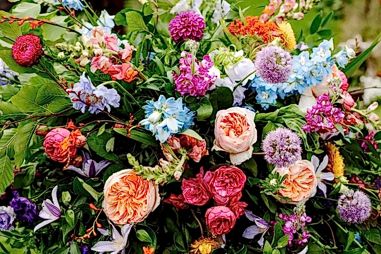a large and vibrant collection of flowers