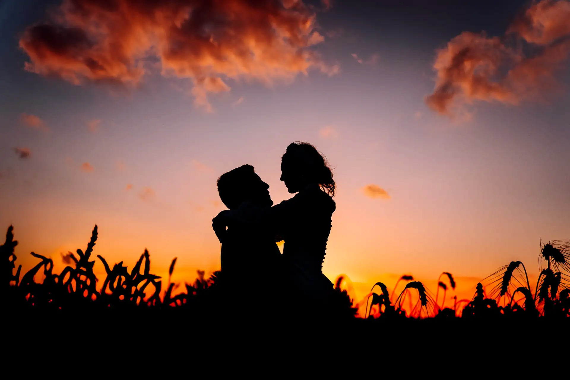 a silhouette of a man and woman in an embrace in a field of corn at sunset