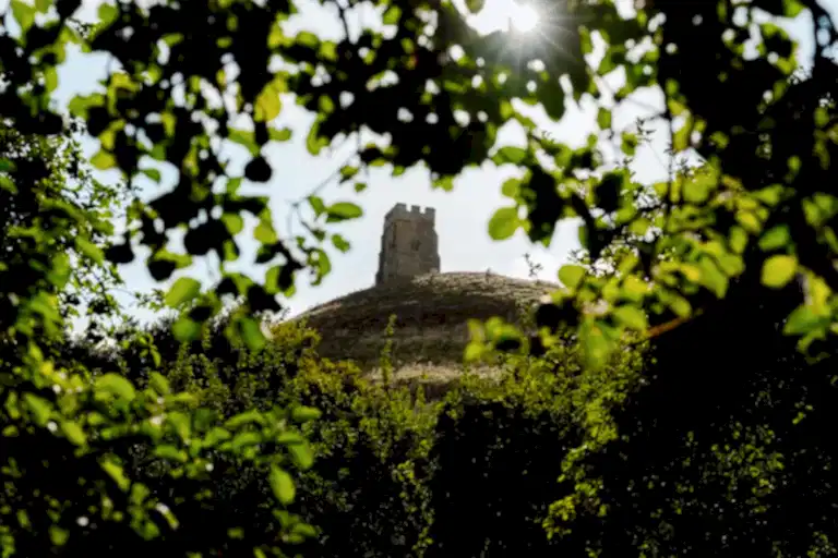 the somerset wedding videographer captures the glastonbury tor through the leaves of a tree