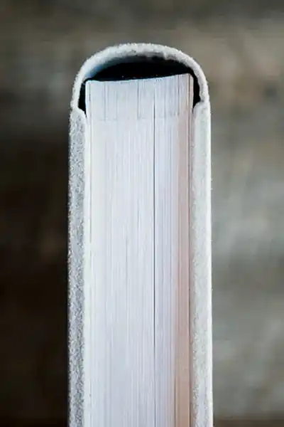 a close up of a book